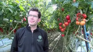 Tomatenteler Agrocare is toonaangevend in Europa