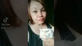with our khao manee cat!!beautiful eyes