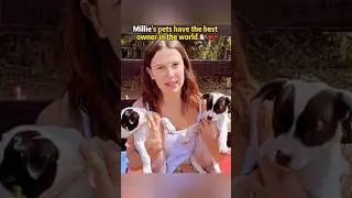У питомцев Милли самая лучшая хозяйка на свете 🐶❤️ #ОченьОченьСтранныеДела #МиллиБоббиБраун #fyp ...