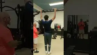 Tractions lestes