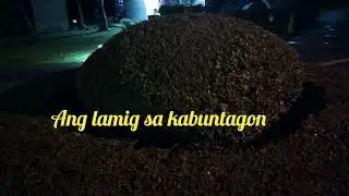 WALKING FIRST DAY OF  JANUARY 2026 SUPER LAMIG #healthy 