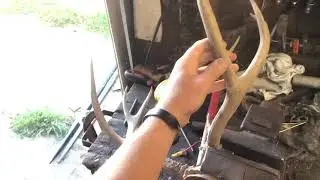 CUSTOM MULE DEER ANTLER HARRY POTTER WAND!