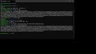 Git Private Server - Setting up the SSH