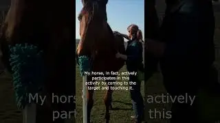 What&acute;s on the video? Horse cooperation explained
