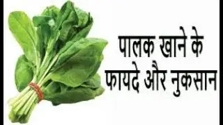 Palak ke fayde(Health Tips in Hindi) Palak Khane ke fayde