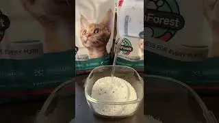Natural plant ingredient-----Moonforest Cat Litter. Giving your cat a better life.#amazonfinds  #cat