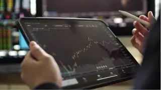 STOCK FANTASY