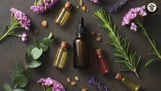 Lavender Essential Oil: Benefits, Uses & Secrets You Must Know!
