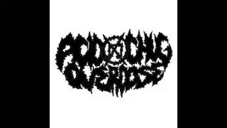 Acid Chug Overdose - Demo 2017 FULL (Grindcore / Noisecore)