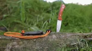 Cuchillo Muela Peccary