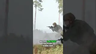 NATO&rsquo;s Shift: Europe Prepares for Independent Defense