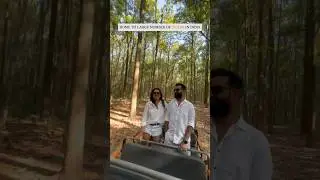 Jim Corbett National Park | Resort at Jim Corbett | Tiger Safari in Uttarakhand