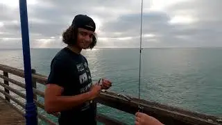 Oceanside California Pier Fishing What's The Best Bait to Catch Mackerel from the Southern Ca Pier