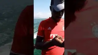 obabo in a tour
