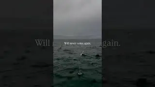 like share comment subscribe