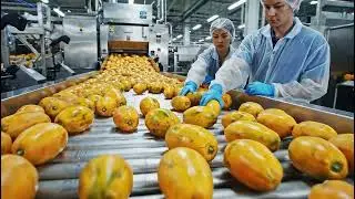 How Papaya Purée Is Produced: From Tropical Farms to Supermarket Shelves