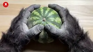 Monkeyasmr || crushing chalk fruits || #asmrvideo #crush #chalk #chalkasmr #monkeyasmr 