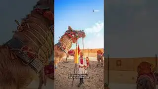Golden sands, endless skies, and the heart of Rajasthan #jaisalmertrip #explorejaisalmer