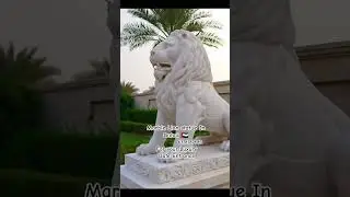 Marble Lion statue For your luxury gate entrance #lionstatue #doordesign #dubai