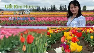 Tulips Farm 2019-C&aacute;nh Đồng Hoa Uất Kim Hương -Family Phi&ecirc;u Lưu-Travel Oregon - Vlog 1