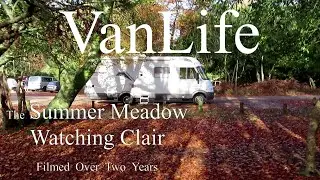 VanLife-The Summer Meadow watching Clair.