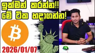 ඉක්මන් කරන්න!මේ ටික හදාගන්න!Crypto Market Update By ROG CRYPTO | Crypto Sinhala Update