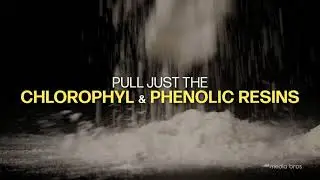 Media Bros Filter Media: Pull Just the Chlorophyll & the Phenolic Resins