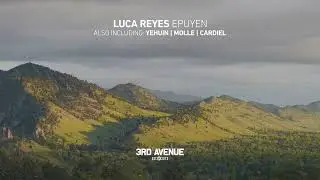 Luca Reyes - Molle [3rd Avenue]