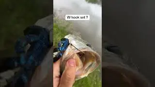 W hook set ? #fyp #bass #hookset #fish #fishing