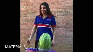 Watermelon Vs. Rubber bands+ STEM SOS Model