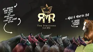 ROYAL MAVERICK RANCH (PART 4) - THE STALLIONS | #LuckyLeaVlog No.27