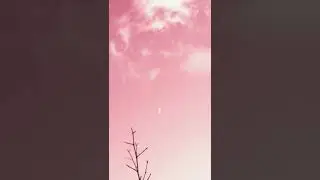pink sky edit