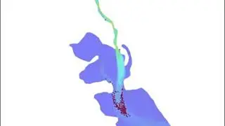 Species Transport Model