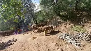 BALENI SALT - Authentic Heritage and Cultural Experience in Limpopo