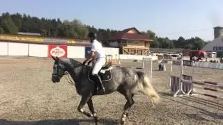 Imperial Horse Club