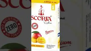 Best hookah by amazon