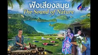 Smile Trip ฟังเสียงสมุย The Sound of Nature