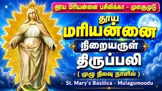 🔴 பௌர்ணமி நாள் சிறப்பு திருப்பலி | Pournami Day Mass | St.Mary's Basilica | Mulagumoodu