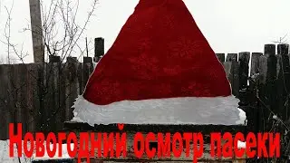 Новогодний осмотр зимовки пчелосемей. Утепление. Beekeeping for beginners