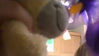 Pimboly und Womme die besten Freunde
