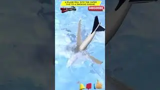 A Plane fell into the water due to a smoking engine. #airplane