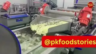 Discover the Ultimate Vegetable Processing & Cleaning Equipment | Food Machinery Design #food
