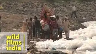 Dirty polluted Yamuna river provides water to New Delhi, India's capital city!