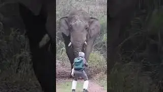 just trailer my own video will upload  please subscribe friend's