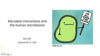 Types of Microbial Interactions
