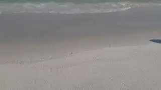 Seaside Heights NJ The Atlantic Ocean Summer 2024