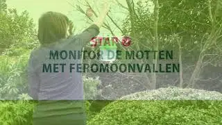Last van de buxusrups? Snél en efficiënt bestrijden!