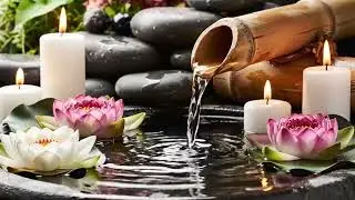 The Healing Garden: Gentle Melodies to Renew the Mind, Body, and Soul