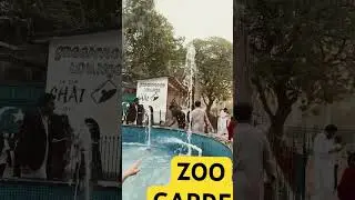 Karachi Zoo garden, Animals Adventure Karachi Zoo, Zoo Garden 2026 #short #shorts fawara, fountain