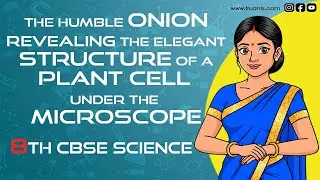 Basic Structure of a Cell using a Microscope.8th CBSE